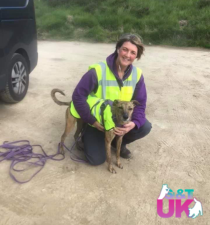 Claire hugs her lurcher Mavis. Both are looking happily at the camera, both wearing high-viz vests.