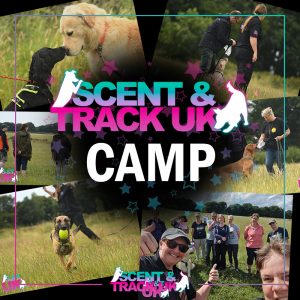 Scent & Track UK CAMP 2024