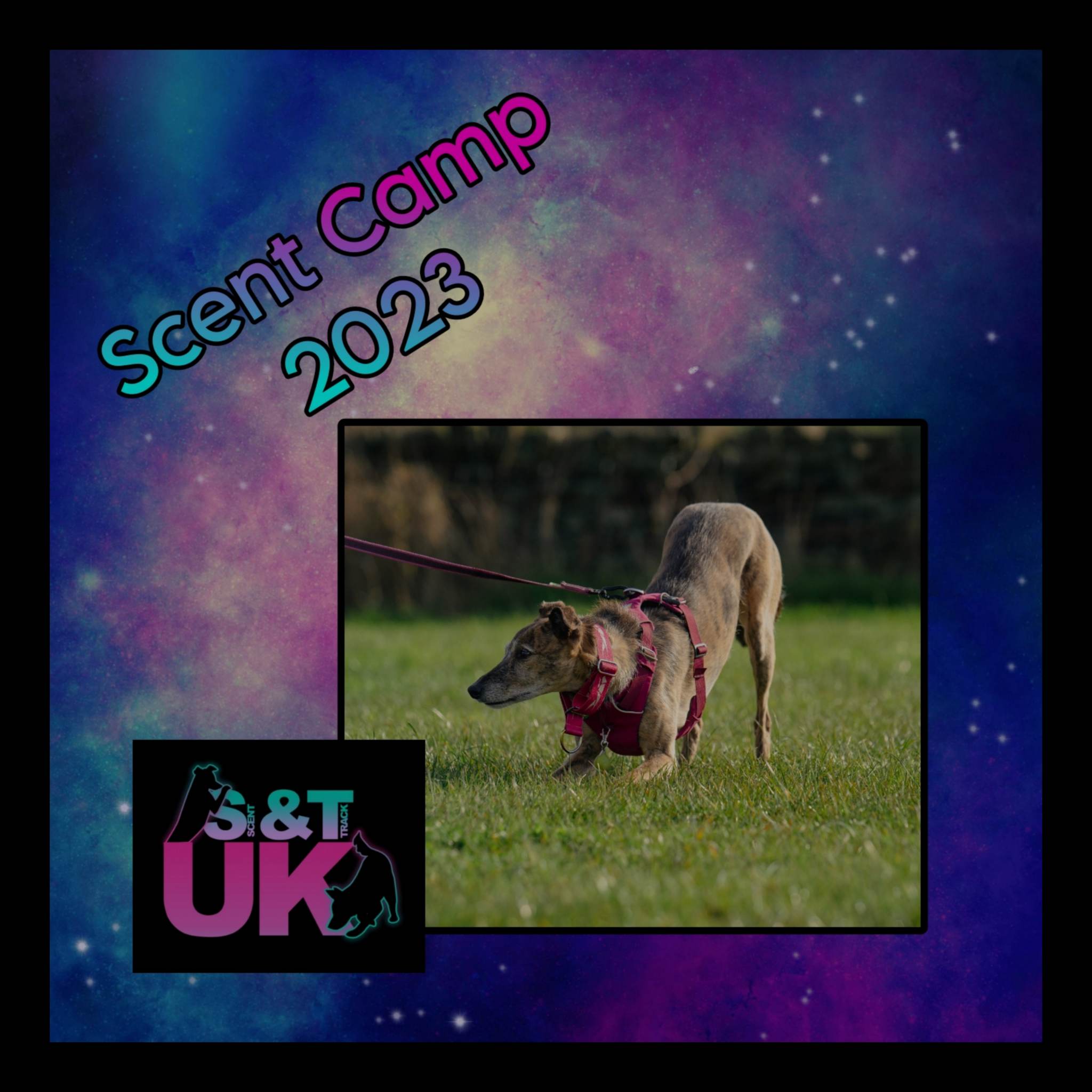 Scent Track Scent And Track Uk