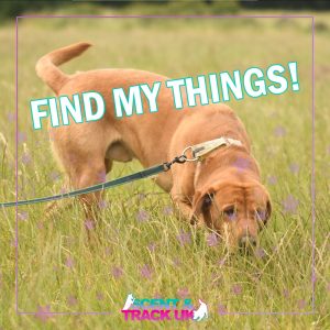 Find My Things!