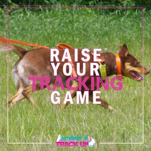 Raise Your Tracking Game