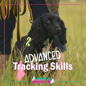 Advanced Tracking Skills (2 Days)