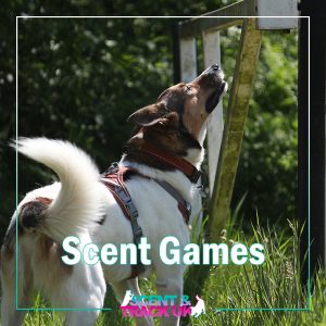 Scent Games Workshop