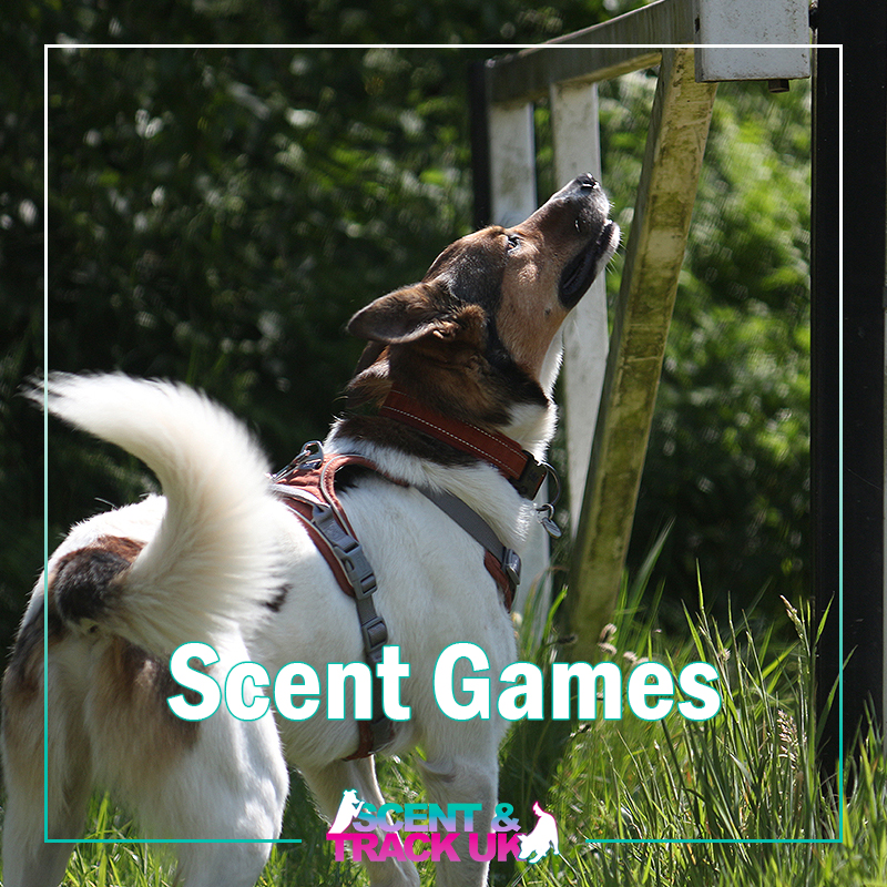 Scent Games Workshop