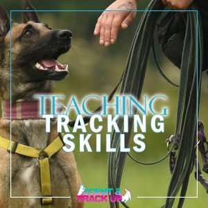 Teaching Tracking Skills