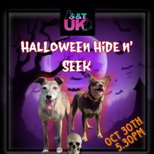 Halloween Hide n' Seek