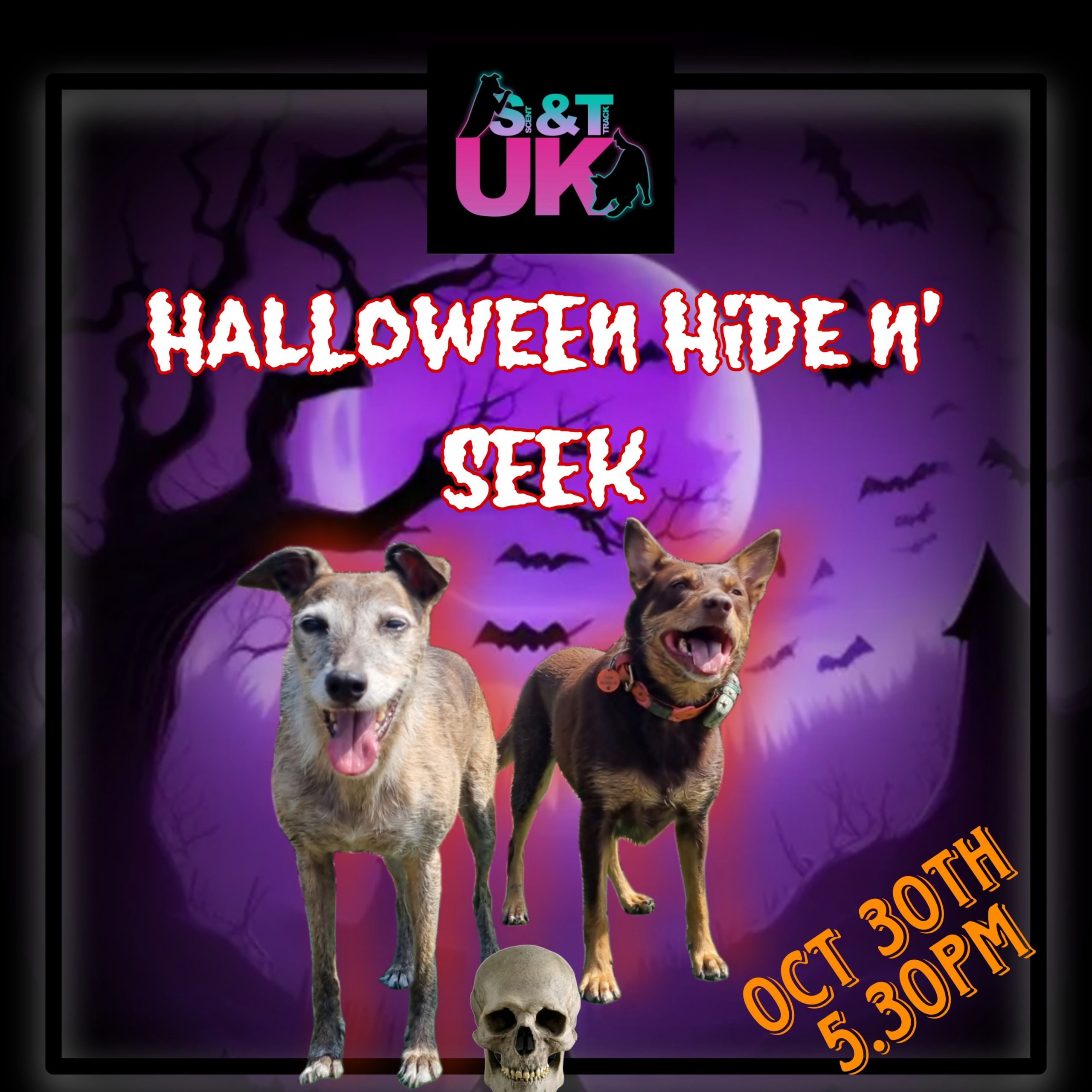 Halloween Hide n' Seek
