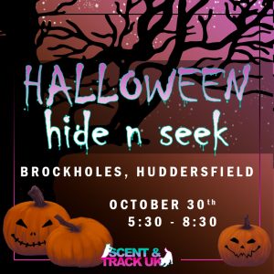 Halloween Hide n' Seek